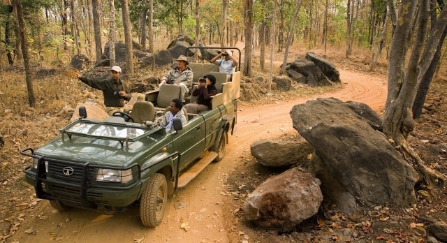 Touristen machen eine Jeep Safari im Indien Dschungel