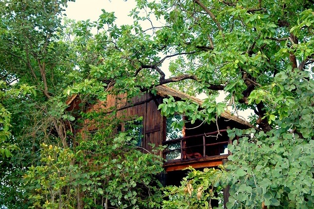 In Harmony with Nature - Top 10 Eco Hotels You Will Love -