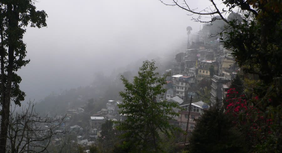 Nebel in Sikkim