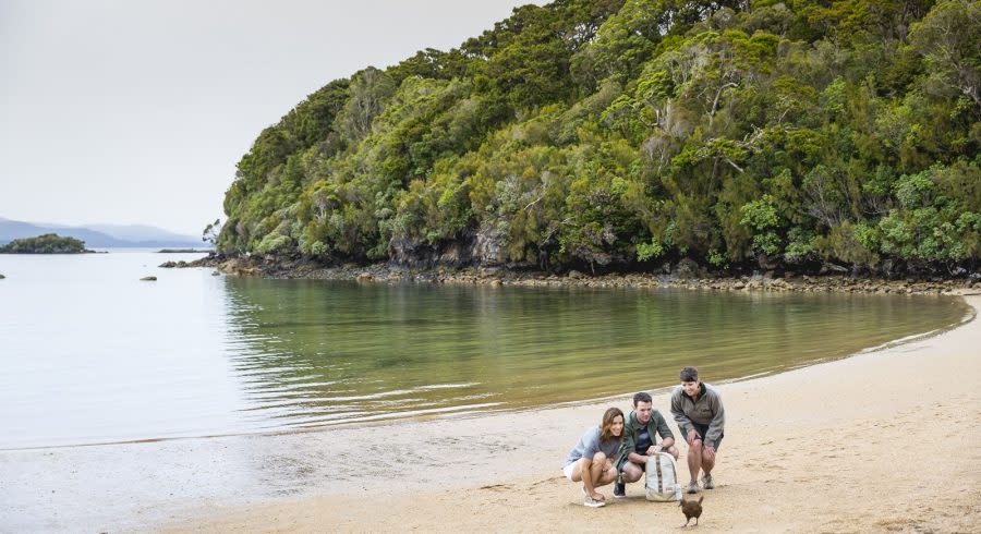 Three people on the beach observe a bird