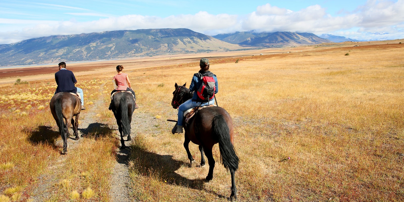 Riding horses in Patagonian steppe