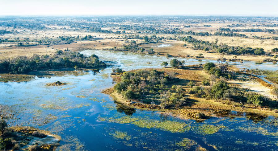 Floodplains of the Okavango