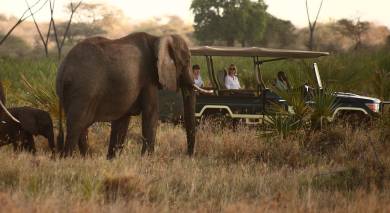 Example private tour: Wings over Kenya: Safari and Beach Example private tour: Wings over Kenya: Safari and Beach