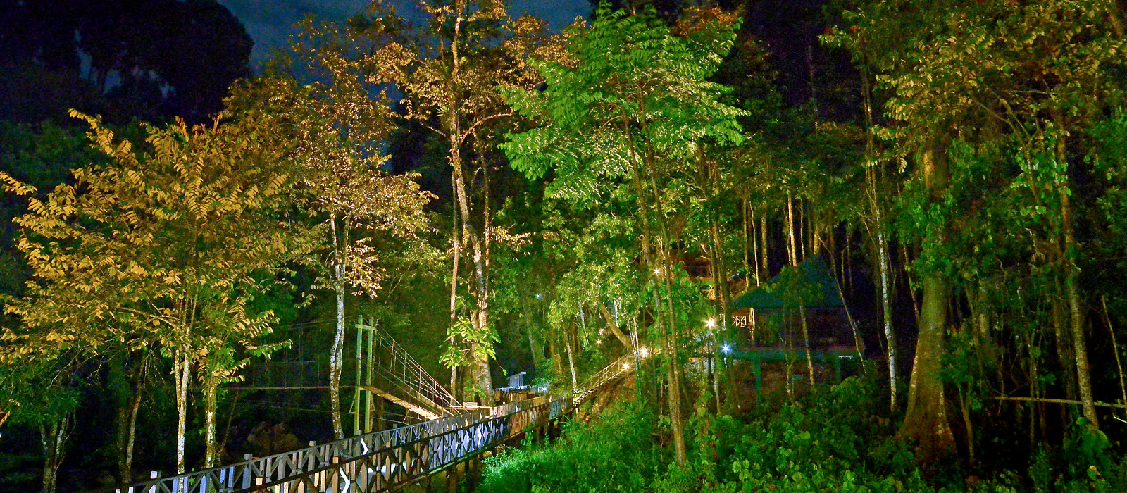 Tabin Wildlife Reserve Tours | Malaysia | Enchanting Travels