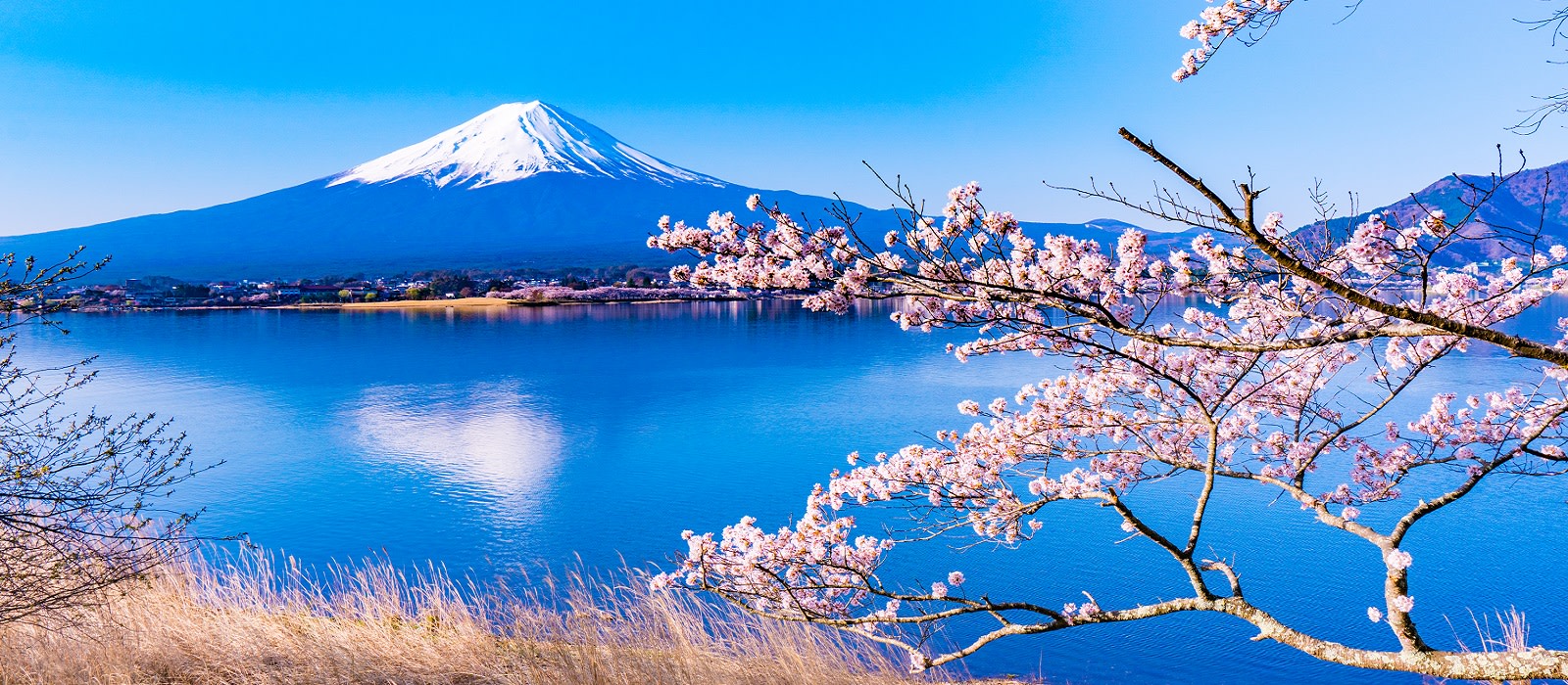 Best Of Japan Private Tour With Enchanting Travels