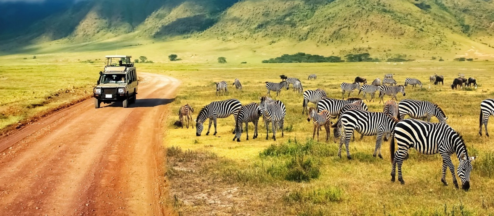 afrika safari und strand
