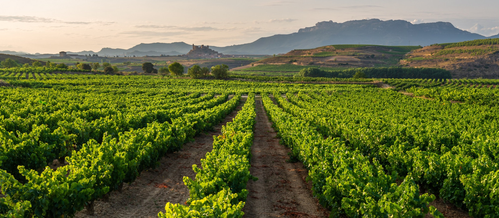 Customized Flavors of Spain Food Tour | Enchanting Travels