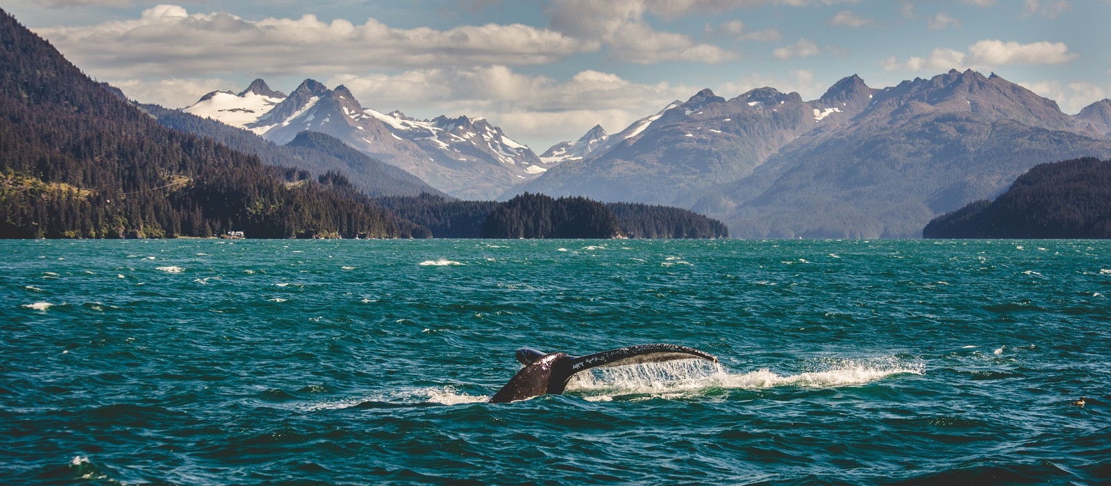 Alaska: Majestic Landscapes  Tours & Trips with ENCHANTING TRAVELS
