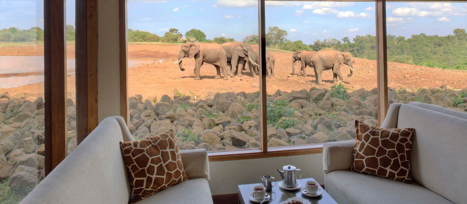 The Ark Hotel in Kenya ENCHANTING TRAVELS