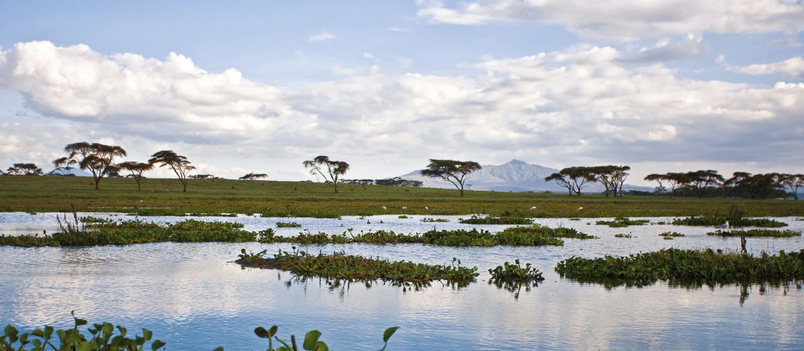 Exclusive Travel Tips for Your Destination Lake Naivasha in Kenya