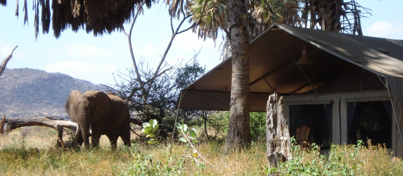 Elephant Bedroom Camp Hotel In Kenya ENCHANTING TRAVELS   Hotel Elephant Bedroom Camp Kenya 