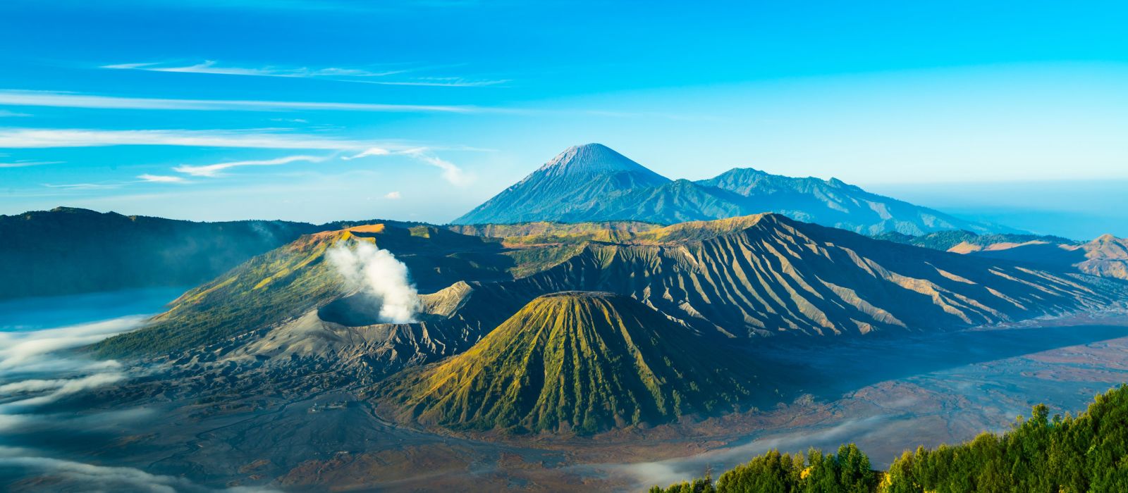 Exclusive Travel Tips for Your Destination Mt Bromo  in 