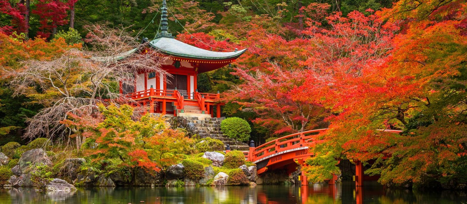 Exclusive Travel Tips for Your Destination Kyoto in Japan