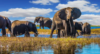 Empfohlene Individualreise, Rundreise: Victoriafälle, Safaris in Botswana & Strände auf Mauritius Empfohlene Individualreise, Rundreise: Victoriafälle, Safaris in Botswana & Strände auf Mauritius