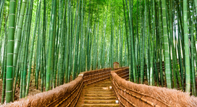 Example private tour: Classic Japan Example private tour: Classic Japan
