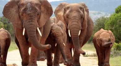 Example private tour: Grand Tour of Southern Africa Example private tour: Grand Tour of Southern Africa