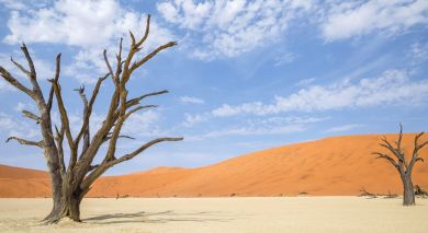 Example private tour: Classic Northern Namibia Example private tour: Classic Northern Namibia