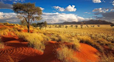 Empfohlene Individualreise, Rundreise: Kapstadt und Klassisches Namibia Empfohlene Individualreise, Rundreise: Kapstadt und Klassisches Namibia