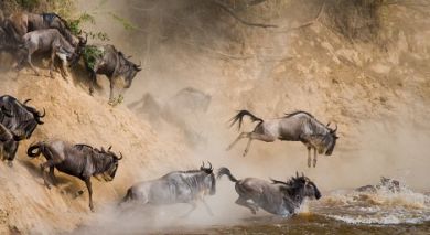 Empfohlene Individualreise, Rundreise: Luxus am See, Wildnis und wilde Tiere in Tansania Empfohlene Individualreise, Rundreise: Luxus am See, Wildnis und wilde Tiere in Tansania