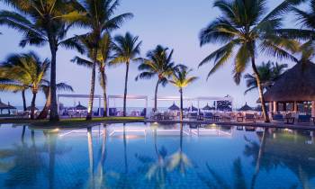 a body of water surrounded by palm trees