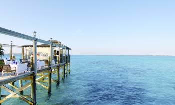 a close up of a pier next to a body of water