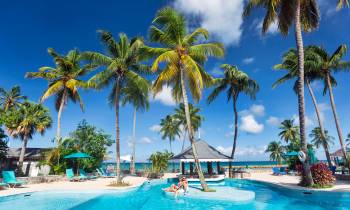 a group of palm trees next to a pool of water