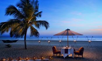 a group of palm trees on a beach near a body of water