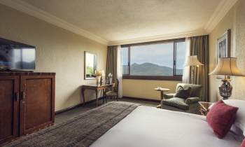 a bedroom with a large bed in a hotel room