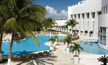 a pool next to a palm tree