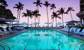 a group of palm trees next to a swimming pool