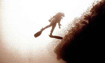 Diving