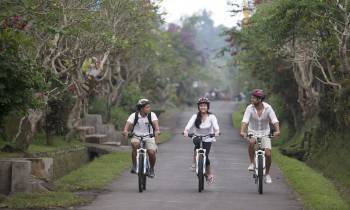 a person riding a bicycle on a road