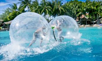 Pool Activitiy