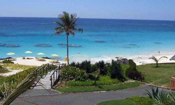 a beach with palm trees and a body of water