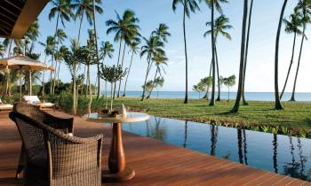 a pool next to a palm tree