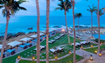 a group of palm trees on a beach