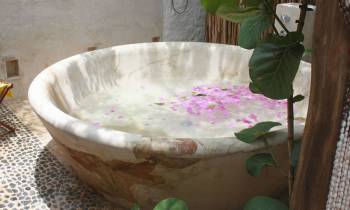a close up of a bowl on a table