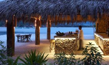 a group of palm trees on a beach