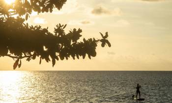 a group of people on a beach near a body of water