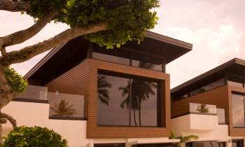 a tree in front of a building
