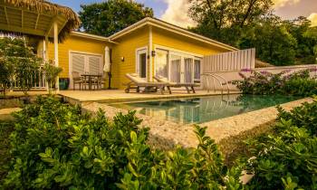 a garden in front of a house