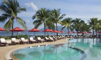 a row of palm trees next to a swimming pool