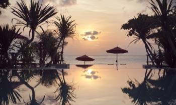 a sunset over a body of water next to a palm tree