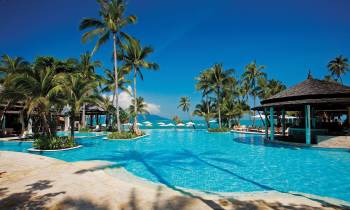 a group of palm trees next to a swimming pool