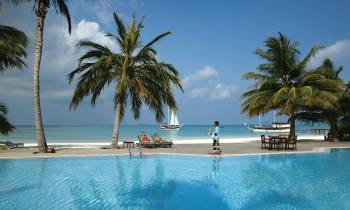 a group of palm trees next to a body of water