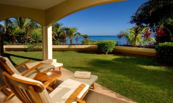 Suite Terrace
