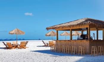 Tiki Beach Bar
