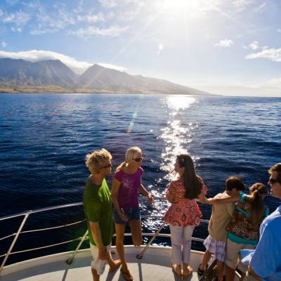 Whale watching tour