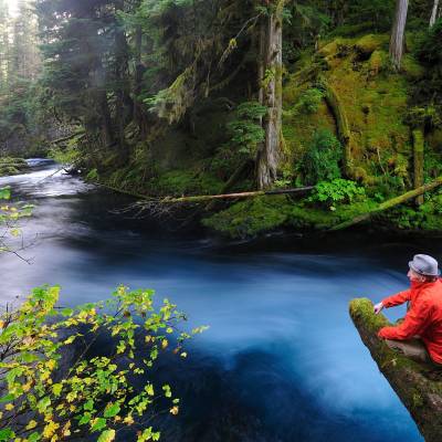 McKenzie River