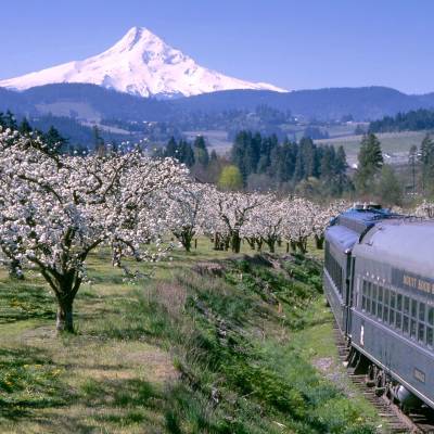 Mt Hood Railroad